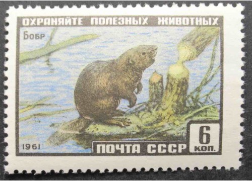 Марка 2536 Фауна СССР. Бобр. MNH ★★. 1961 год.
